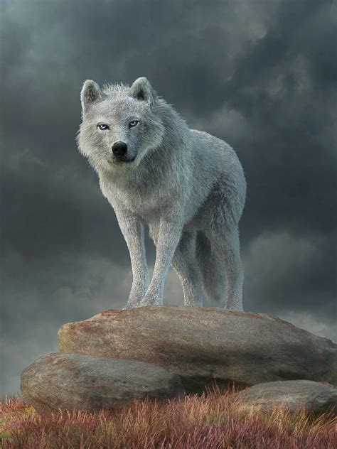 The White Wolf Digital Art By Daniel Eskridge Pixels