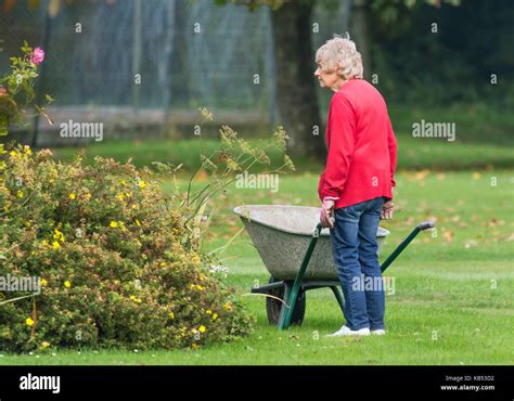 Old Woman Gardening Hi Res Stock Photography And Images Alamy