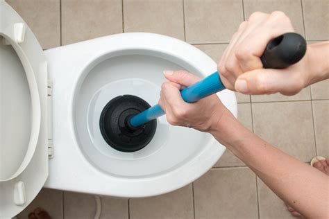 How To Unclog A Full Toilet Without A Plunger Offer Store Save 45