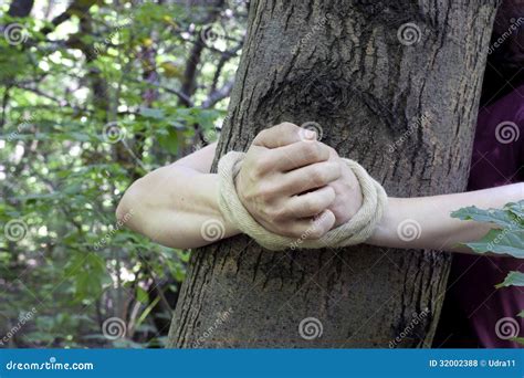 Donna Legata Ad Un Albero Nella Foresta Fotografia Stock Immagine Di
