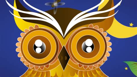 Owl Animation Youtube