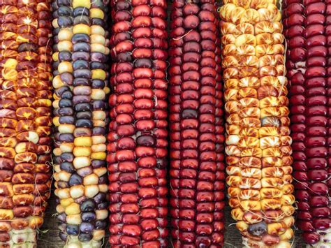 The Serious Eats Guide To Corn