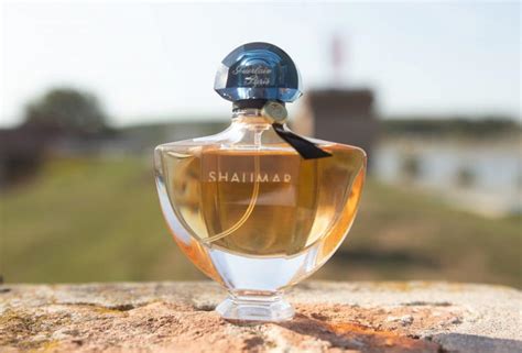 10 Best Cheap Perfumes For Men Top Fragrances Under 50 Scent Grail
