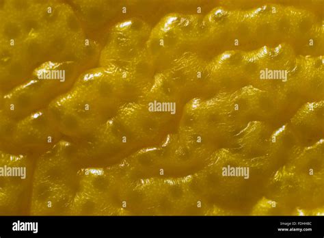 Lemon Peel Close Up Stock Photo Alamy