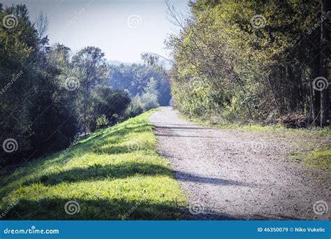 The Lonely Forest Road Stock Image Image Of Innocently 46350079