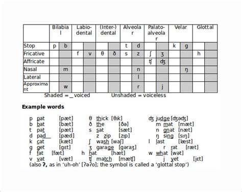 Free 5 Sample Phonetic Alphabet Chart Templates In Pdf