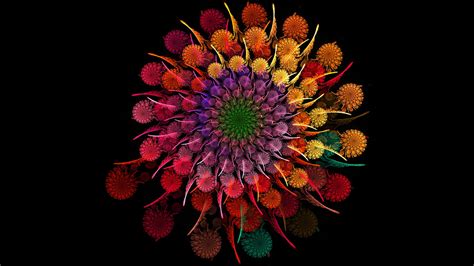 2048x1152 Rainbow Flower 2048x1152 Resolution Hd 4k Wallpapers Images