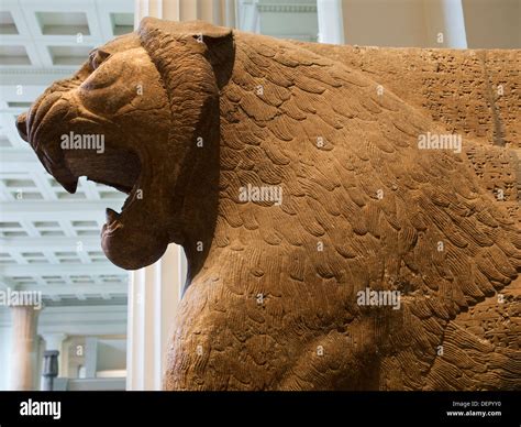 The British Museum London Colossal Assyrian Winged Lion Stock Photo
