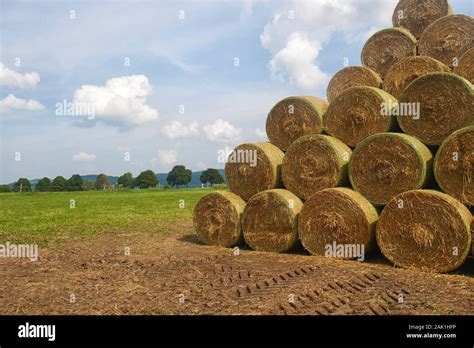 Stack Of Straw Bales Round Straw Bales Stacked In A Pyramid On A