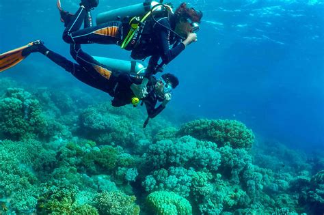 Padi Discover Scuba Diving Dsd Sea Aqua Ventura Diving
