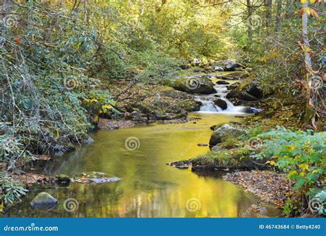 Water Reflections In Small Stream In The Smokies Stock Photo Image Of
