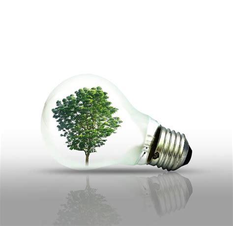 Premium Photo Tree In Light Bulb