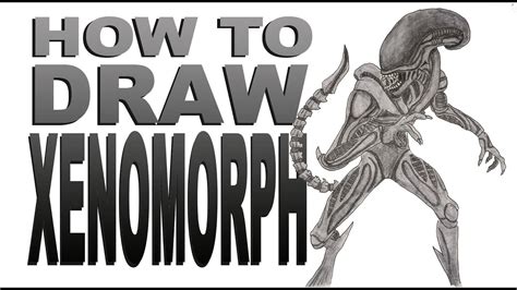 How To Draw A Xenomorph Alien Youtube