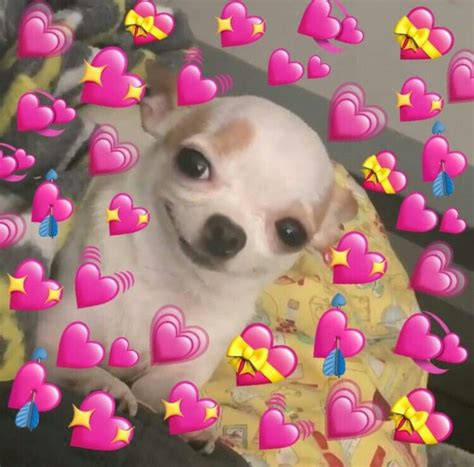 Find the newest 1080x1080 meme. Pin 🥀 @yaragodoyy | Memes apaixonados