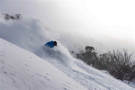 Australian Snow Season Outlook July Update Dare To Dream Mountainwatch