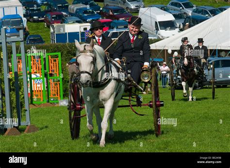 Horse And Carriage Driving At Westmorland County Agricultural Show