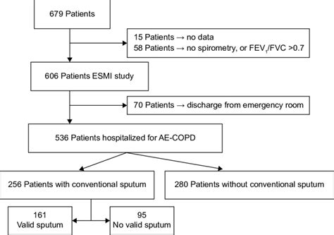 Flowchart Of The Patients Abbreviations Ae Copd Acute Exacerbation