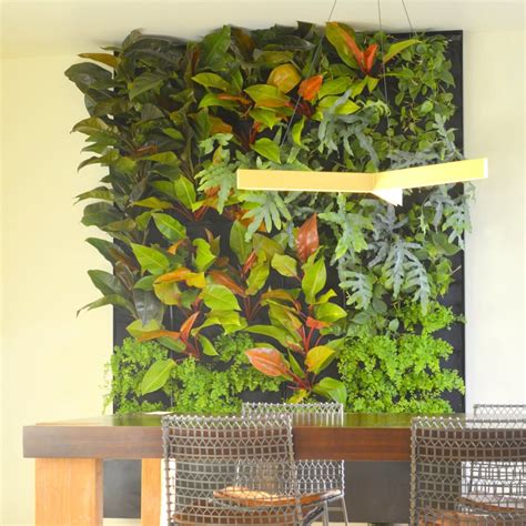 Phils And Ferns Vertical Garden — Florafelt Living Wall Systems