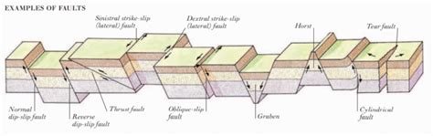 Faults And Folds Continuous Movement Of The Earths Crustal Plates