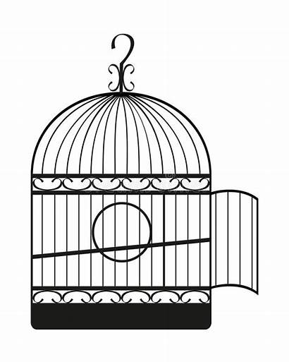 Kooi Vogel Cage Bird Uccello Gabbia Dalla