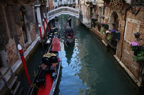 Venedik turuna katılanların sayısında artış Turizm Tatil Seyahat