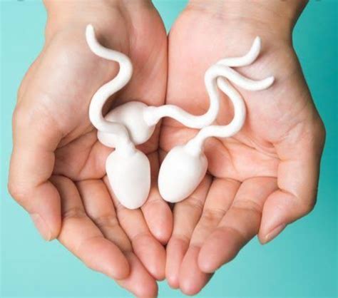 Health Sperm Vs Semen Here Is The Difference Between The Two