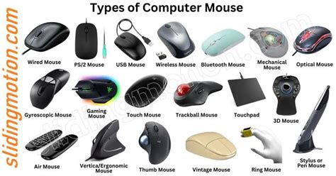 20 Main Types Of Mouse Complete Guide With Names Functions And Pictures