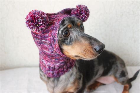 Knitting Pattern Small Dog Hat Dachshund Hat Mini Dachshund Etsy