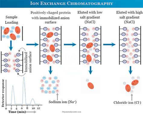 Ion Exchange Chromatography Procedure Principle