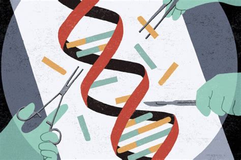 Video How Will Crispr And Other Forms Of Gene Editing Revolutionize