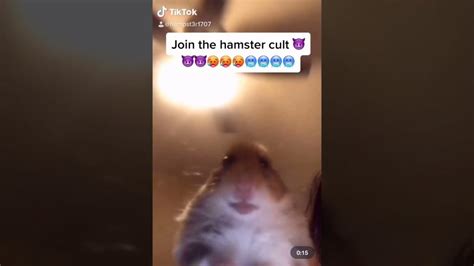 A War Between The Lana Del Rey Cult And Hamster Cult Is On Fire On