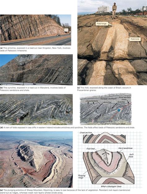 Folds And Foliations ~ Learning Geology In 2020 Geology Rocks
