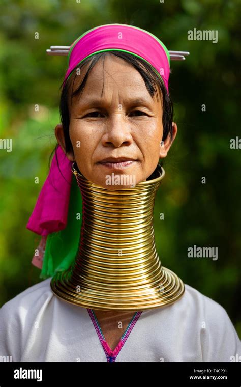 Padaung Long Necked Woman With Brass Neck Rings Portrait Hill Tribes