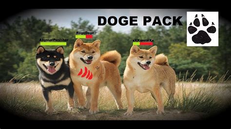 Doge roblox magnet simulator wiki fandom powered by att lte 1146 am 69 booga booga robloxfand omcom. ROBLOX: Doge Pack Trailer - YouTube