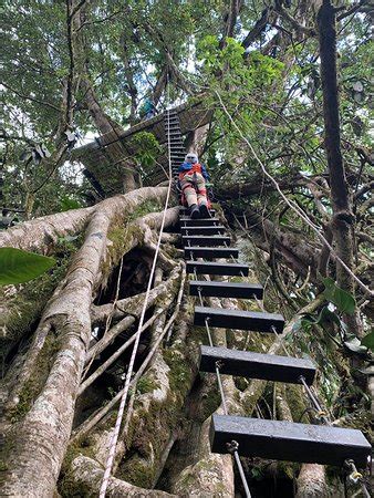 The location at the monteverde cloud forest lodge is perfect and we are very close to all the attractions that this area provides, including the town of santa elena and the. The Original Canopy Tour (Monteverde) - 2019 All You Need ...