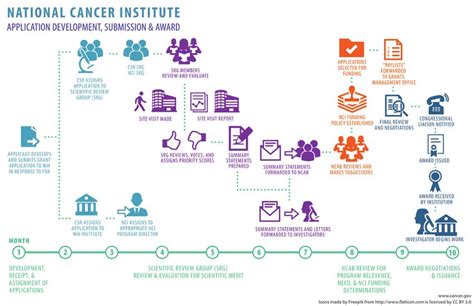 The Grants Process The Lifecycle Of A Grant National Cancer Institute