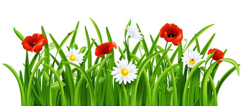 Free Grass Border Cliparts, Download Free Grass Border Cliparts png images, Free ClipArts on ...