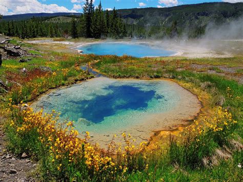 5 Us National Parks To Visit During Wildflower Season