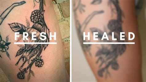 Thigh Tattoo Healing Fresh Vs Healed Tattoo Youtube