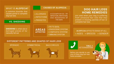 Best Dog Hairloss Home Remedies Stop Balding Vlrengbr