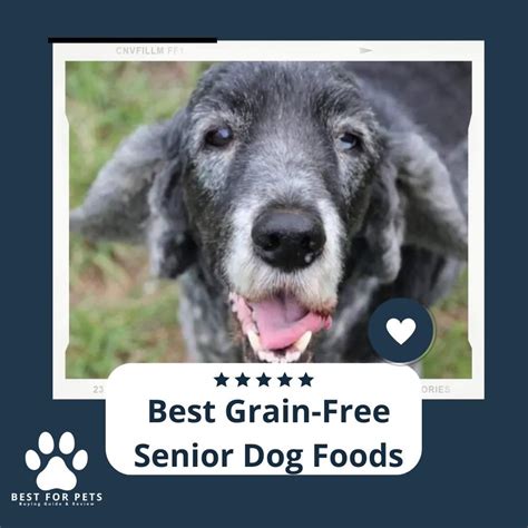 The 10 Best Grain Free Senior Dog Foods Of 2022