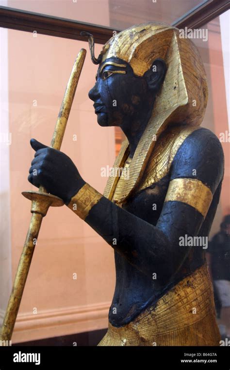 King Tut Ankh Amoun 15 20 Years Hi Res Stock Photography And Images Alamy