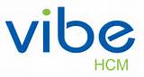 Vibe Hr Software Pictures