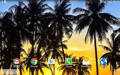 Tropical Paradise Google Animated Screensaver Android