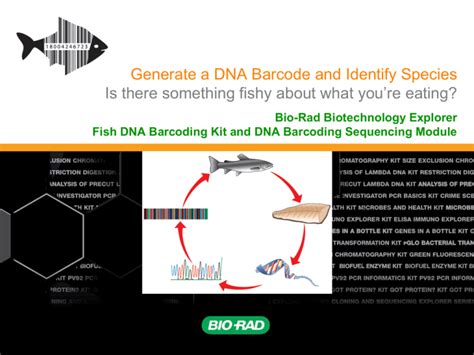 Generate A Dna Barcode And Identify Fish Species Bio Rad