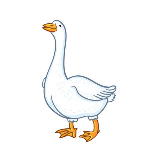 Goose Cartoon Stock Photos Pictures And Royalty Free Images Istock