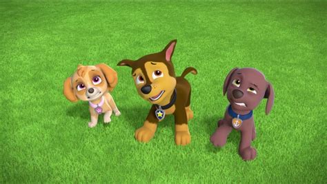 Image Paw Patrol Monkey Naut Scene Chase Zuma Skye