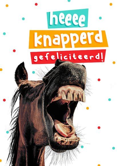 Grappige Verjaardagskaart Paard Gefeliciteerd Kaartje Go