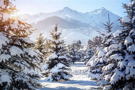 Winter Mountain Scenery Winter Mountain Scenery — Stock