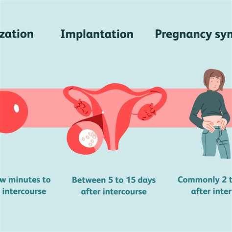 How Many Days After Ovulation Does Implantation Occur Hiccups Pregnancy